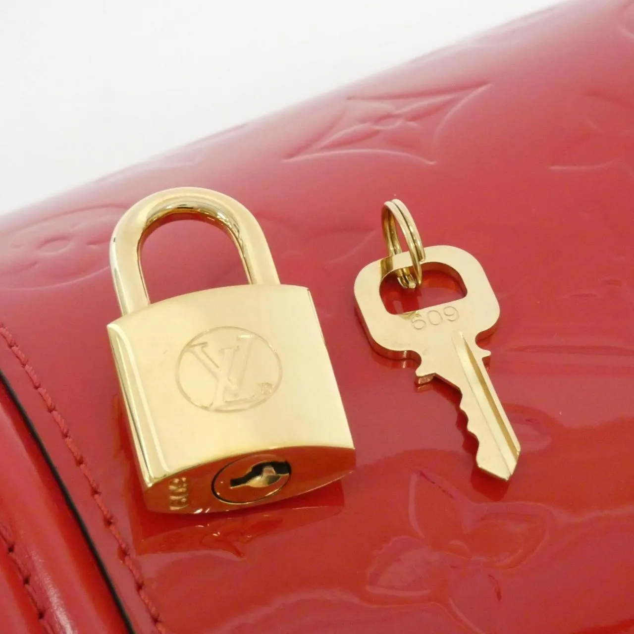 Louis Vuitton Verni Cannes Pm Bag