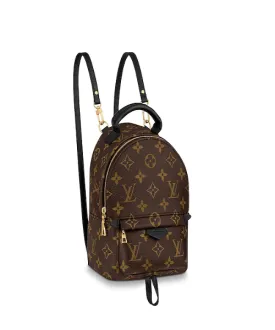 LV Palm Springs Backpack Mini Monogram